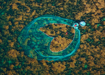 In Harmony With The Sea