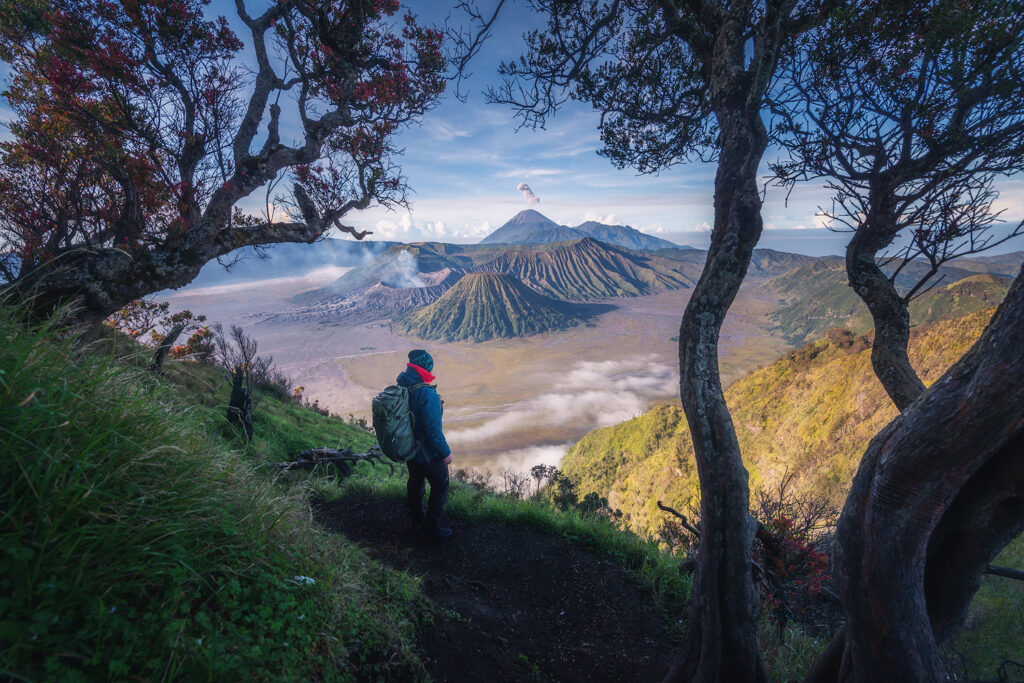 Bromo